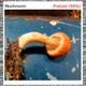 Illustration for article titled Thousands of Reasons That We Shouldnt Trust a Neural Network to Analyze Images
